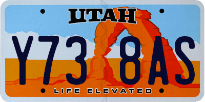 UT license plate Y738AS