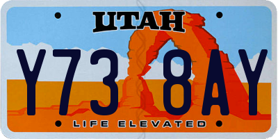 UT license plate Y738AY