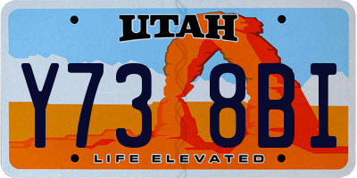 UT license plate Y738BI