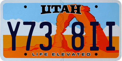 UT license plate Y738II