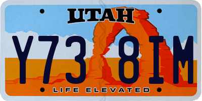 UT license plate Y738IM