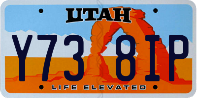 UT license plate Y738IP