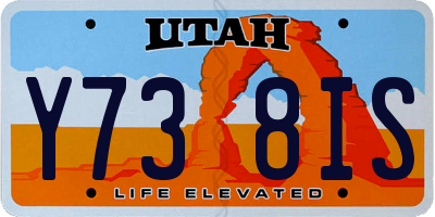 UT license plate Y738IS