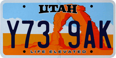 UT license plate Y739AK