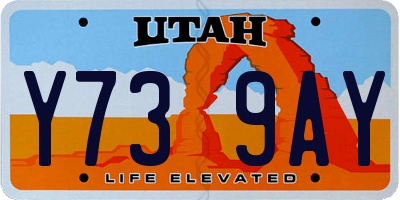 UT license plate Y739AY
