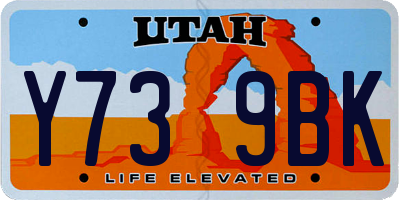 UT license plate Y739BK