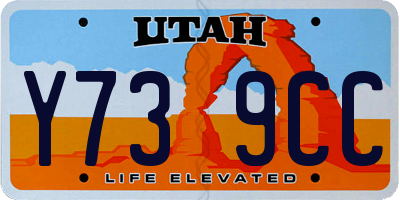 UT license plate Y739CC