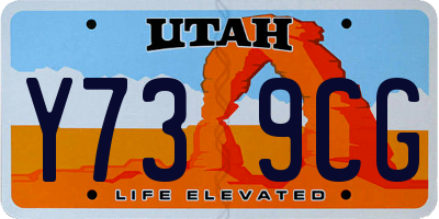 UT license plate Y739CG