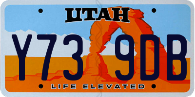 UT license plate Y739DB