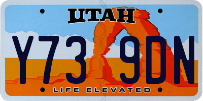 UT license plate Y739DN