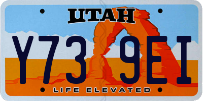 UT license plate Y739EI