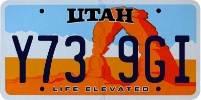 UT license plate Y739GI
