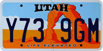 UT license plate Y739GM