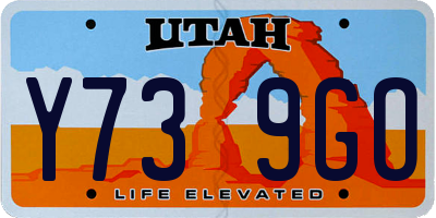 UT license plate Y739GO