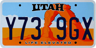 UT license plate Y739GX