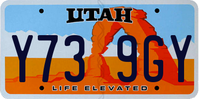 UT license plate Y739GY