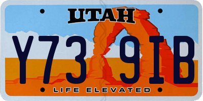 UT license plate Y739IB