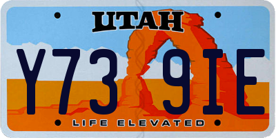 UT license plate Y739IE