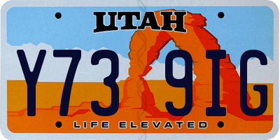 UT license plate Y739IG