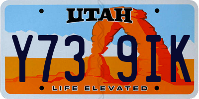 UT license plate Y739IK