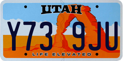 UT license plate Y739JU