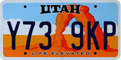 UT license plate Y739KP