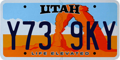 UT license plate Y739KY
