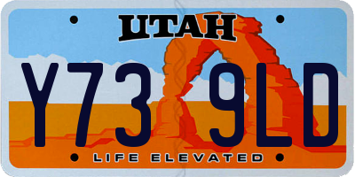 UT license plate Y739LD
