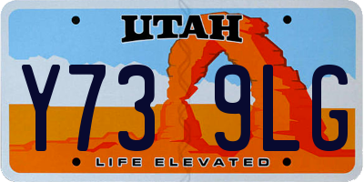 UT license plate Y739LG