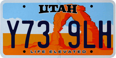 UT license plate Y739LH