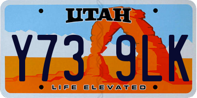 UT license plate Y739LK