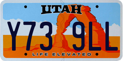 UT license plate Y739LL