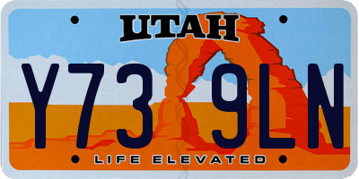 UT license plate Y739LN