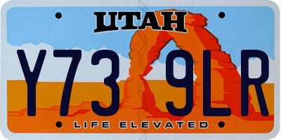 UT license plate Y739LR