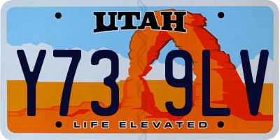 UT license plate Y739LV