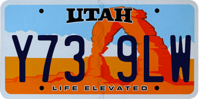UT license plate Y739LW