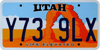 UT license plate Y739LX