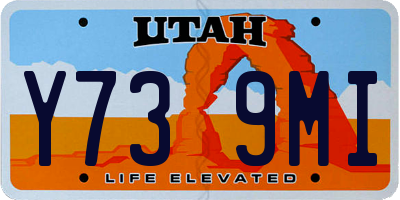 UT license plate Y739MI