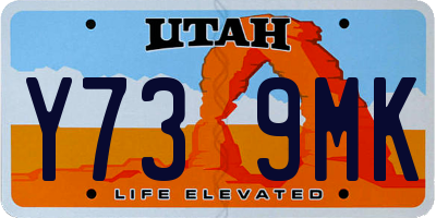 UT license plate Y739MK
