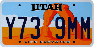 UT license plate Y739MM
