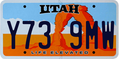 UT license plate Y739MW