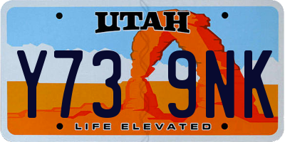 UT license plate Y739NK