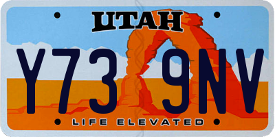 UT license plate Y739NV