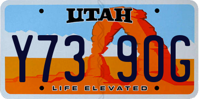 UT license plate Y739OG