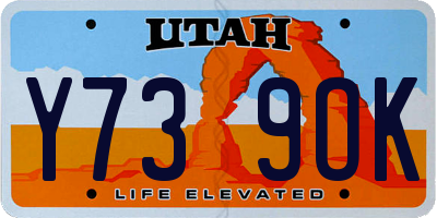UT license plate Y739OK