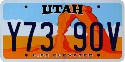 UT license plate Y739OV