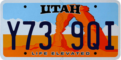 UT license plate Y739QI