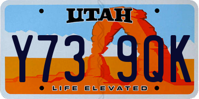 UT license plate Y739QK