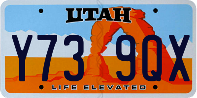 UT license plate Y739QX