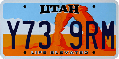 UT license plate Y739RM